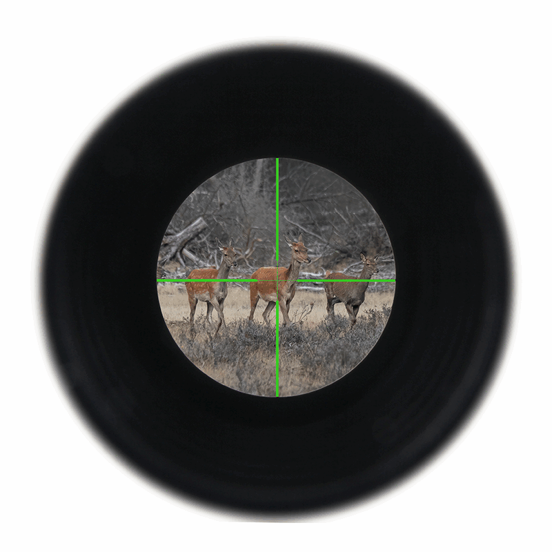 Wire reticle vs Glass Etched reticle vs Fiber reticle, what's the ...